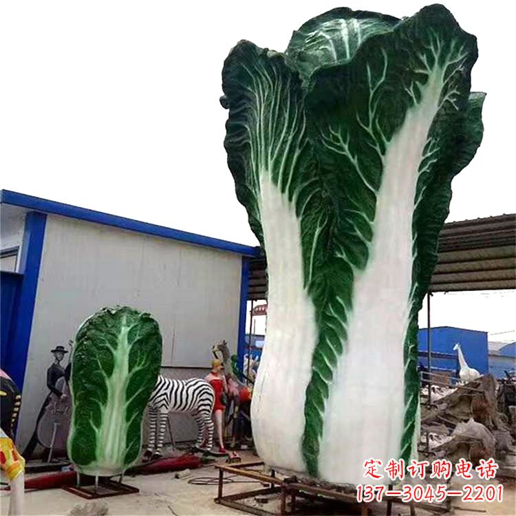 绵阳白菜艺术——融合植物与艺术的完美结合