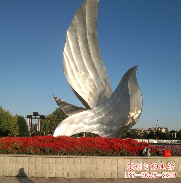 绵阳“鸽子之恋”——让爱飞翔