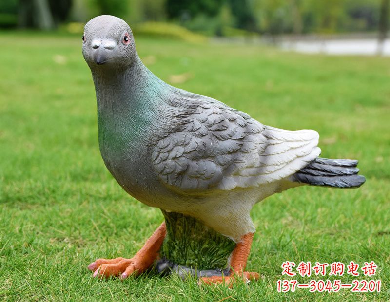 绵阳新颖精致的“鸽子风格”家居装饰