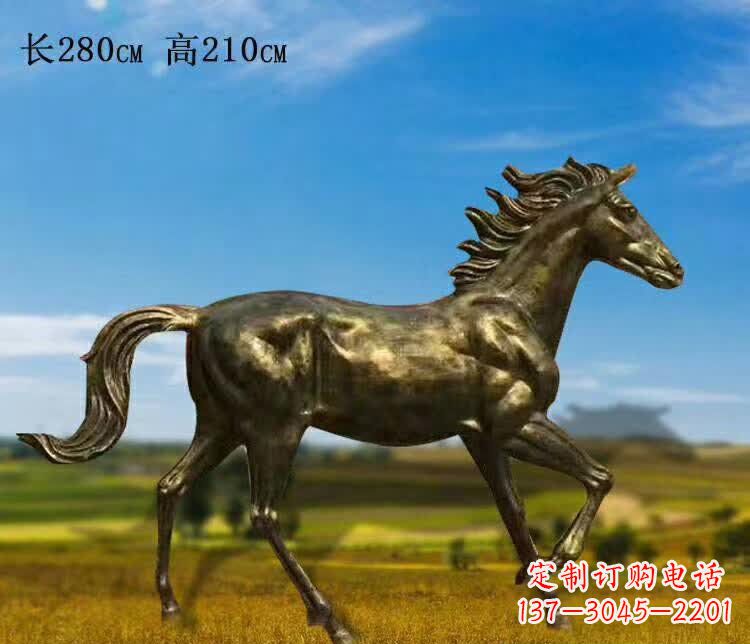 绵阳新马之精髓