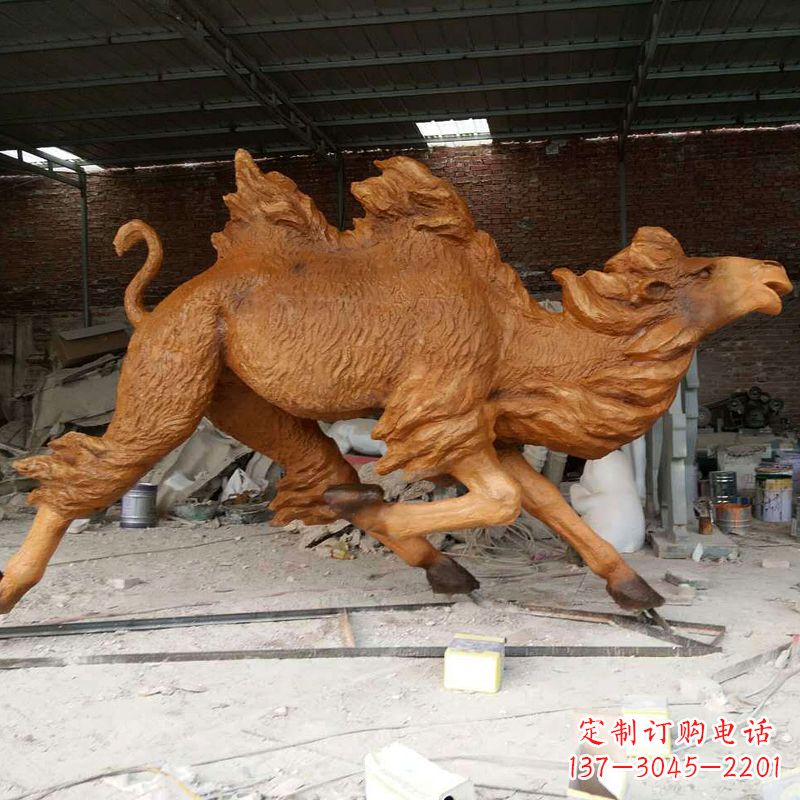 绵阳活力四射的骆驼
