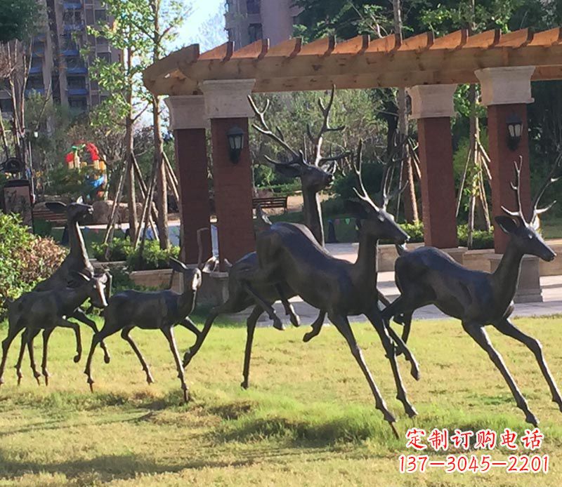 绵阳“梅花鹿传递自由与美好”