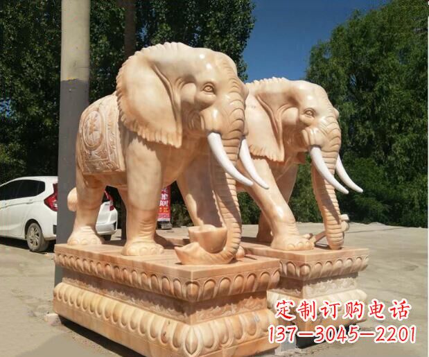 绵阳大象晚霞