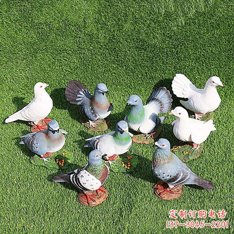 绵阳和平鸽毕加索激发的美好灵感
