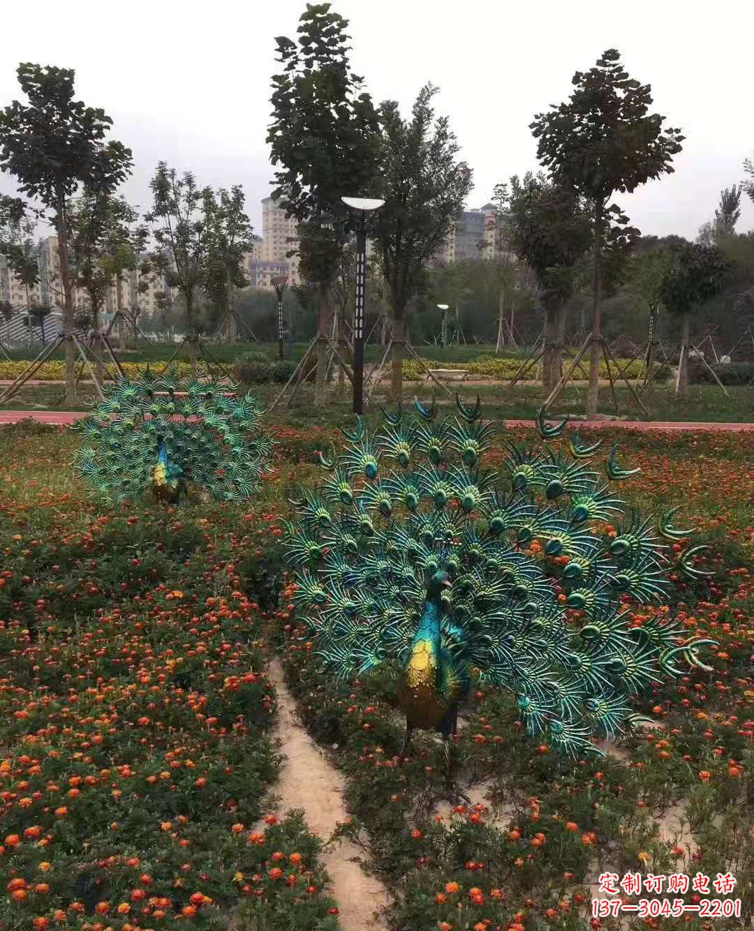 绵阳不锈钢彩绘孔雀雕塑
