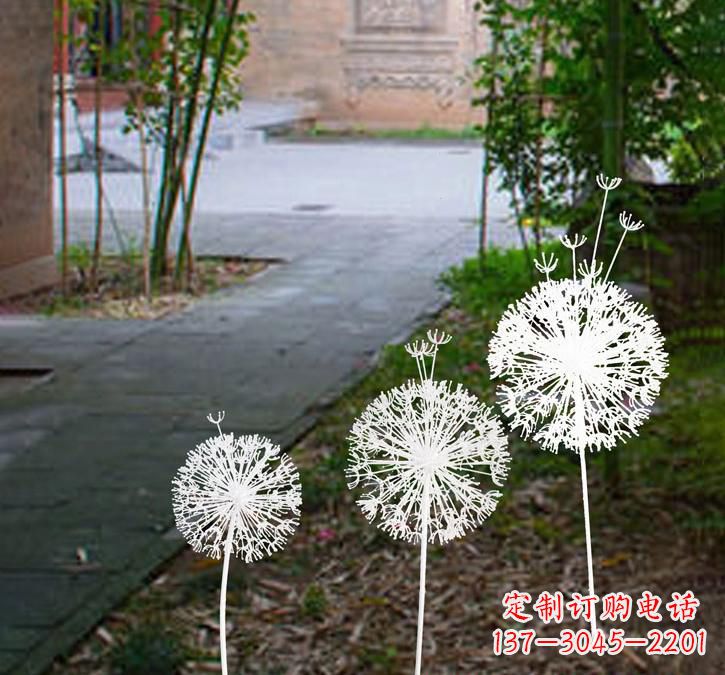 绵阳不锈钢蒲公英点亮城市之美