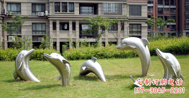 绵阳海豚的浪漫