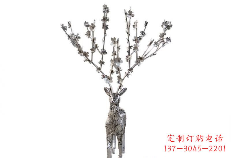 绵阳梅花鹿的优雅身姿
