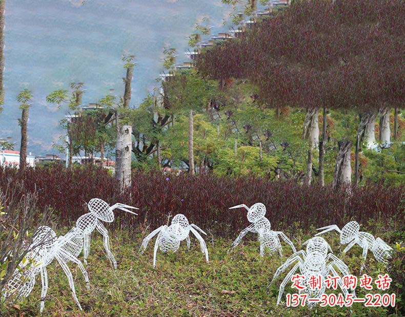 绵阳不锈钢蚂蚁镂空雕塑艺术与自然的完美结合