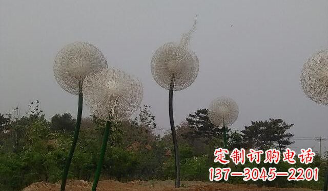 绵阳蒲公英的绚丽多彩