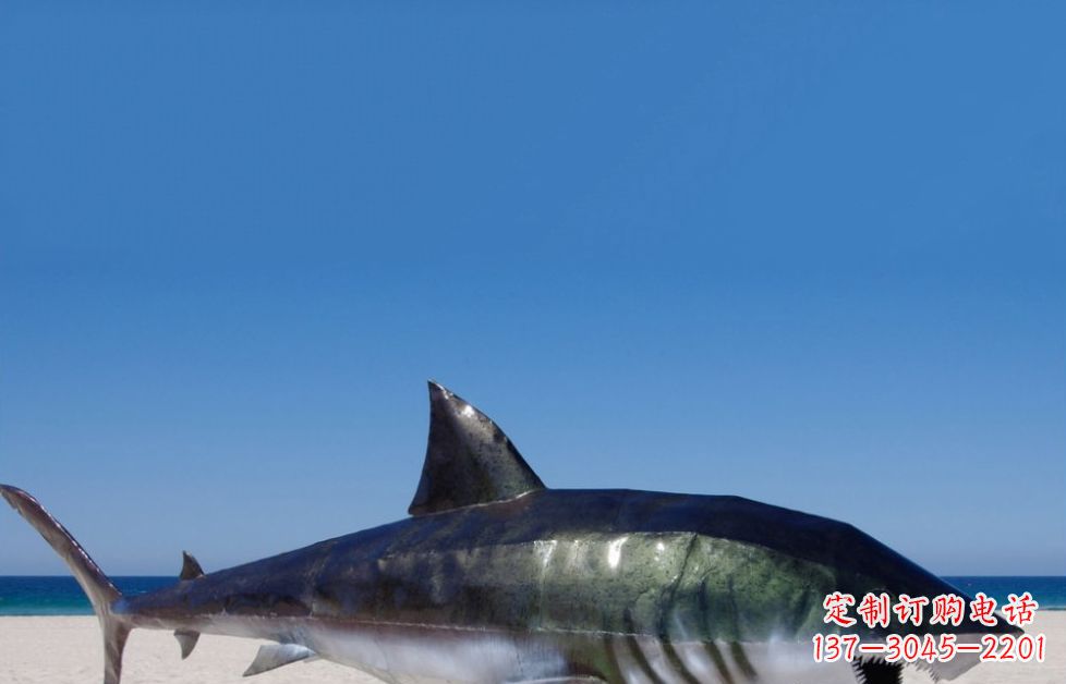 绵阳海洋生物之美——不锈钢鲨鱼雕塑