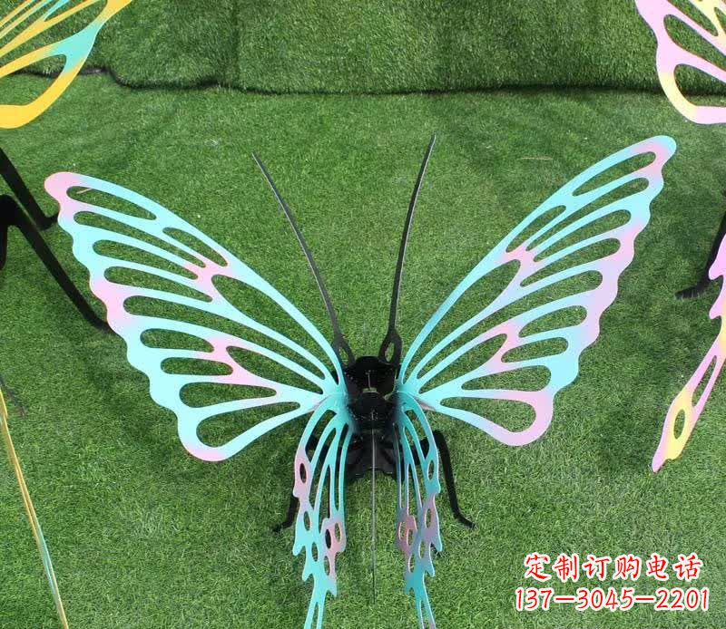 绵阳彩色不锈钢镂空蝴蝶雕塑精美又充满生机