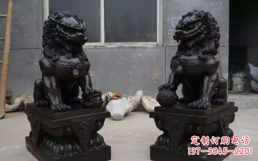 绵阳踩球镇的狮子之家
