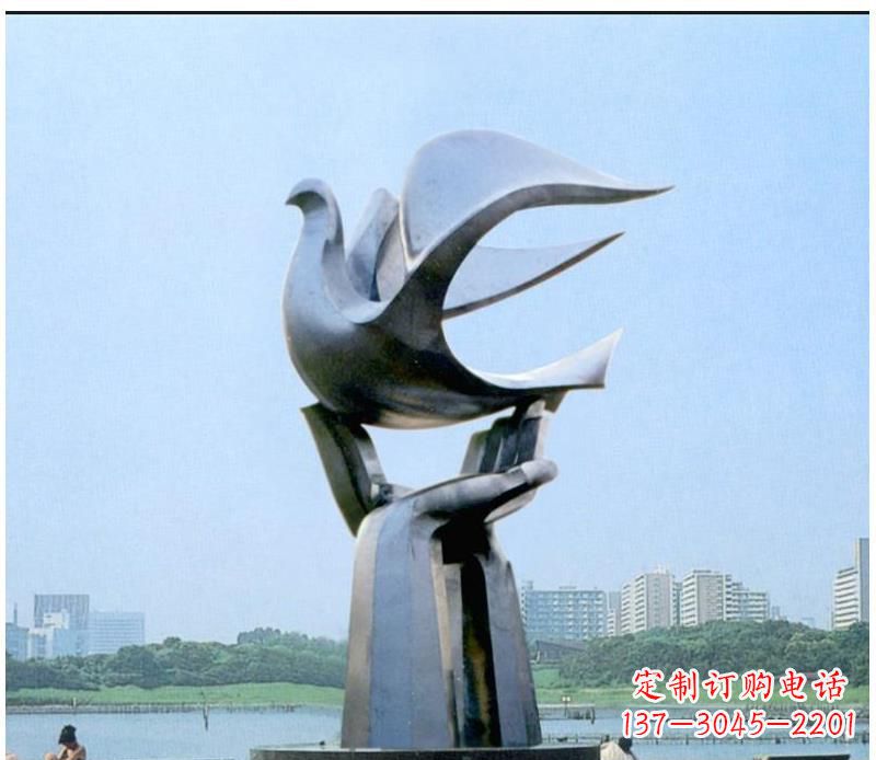绵阳静谧之鸽,传递和平象征~