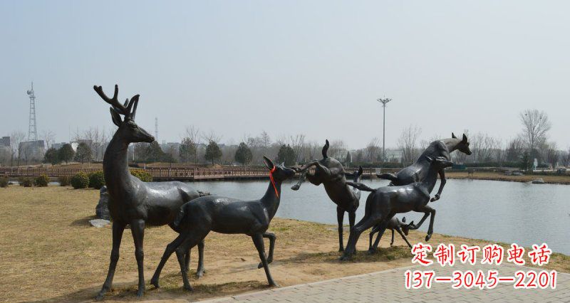 绵阳公园鹿动物铜雕 (3)