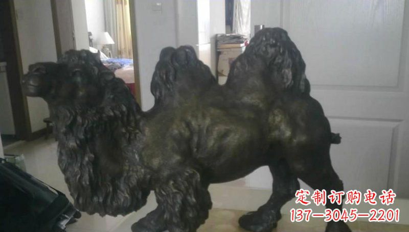 绵阳室外骆驼铜雕塑,为公园景观增添美感