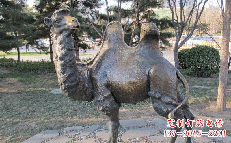 绵阳铜骆驼雕塑——浓缩自然美丽