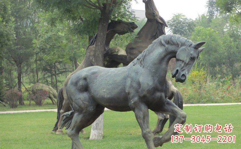 绵阳公园马动物景观铜雕 (2)