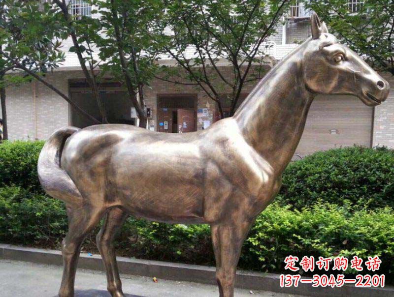 绵阳精美铜雕动物