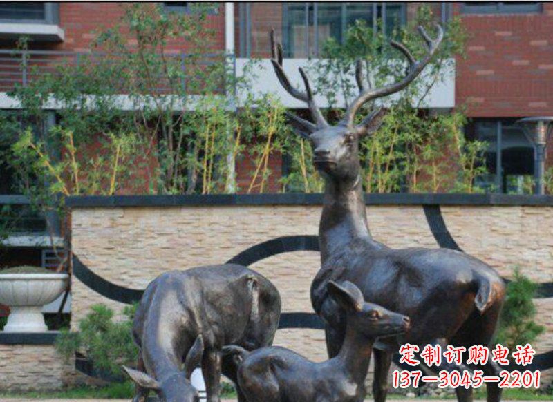 绵阳古雅优雅的梅花鹿铜雕