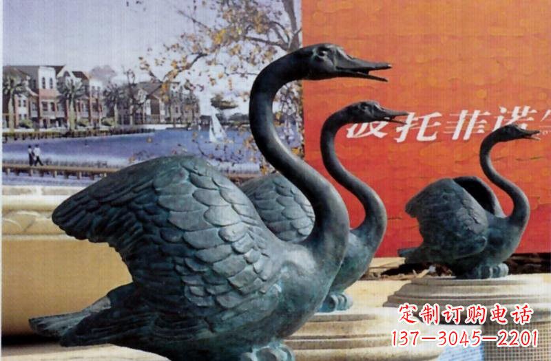 绵阳公园天鹅铜雕