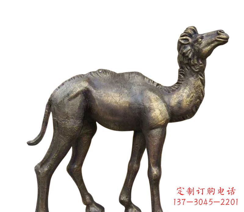 绵阳奇美洁净的骆驼铜雕