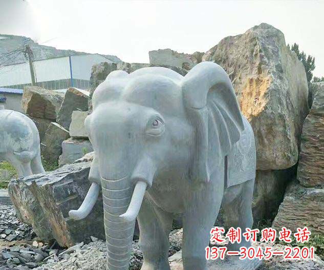 绵阳广场景观大理石大象石雕 (2)