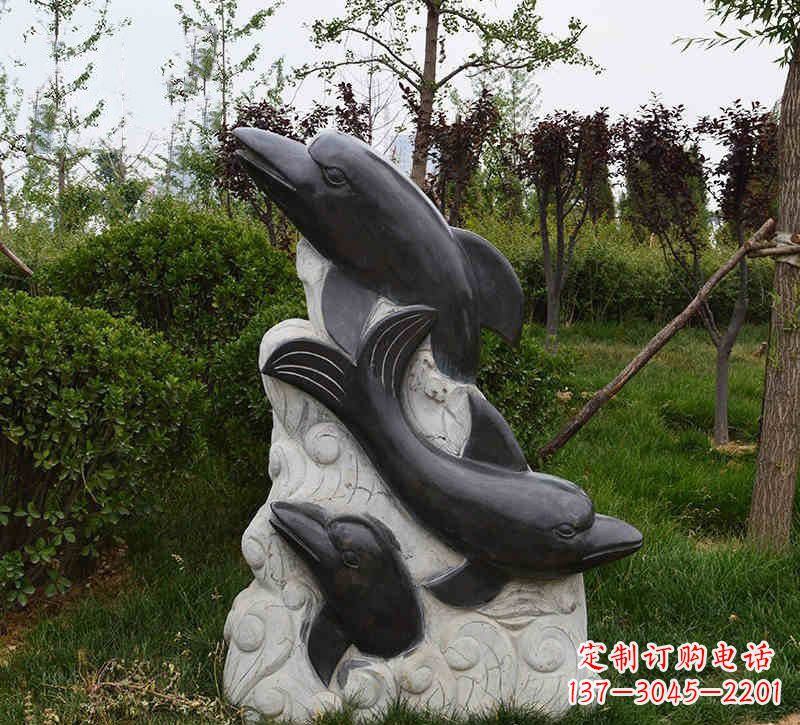 绵阳海豚石浮雕