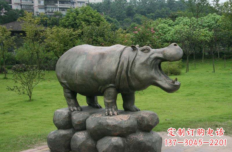 绵阳海洋动物河马铜雕塑