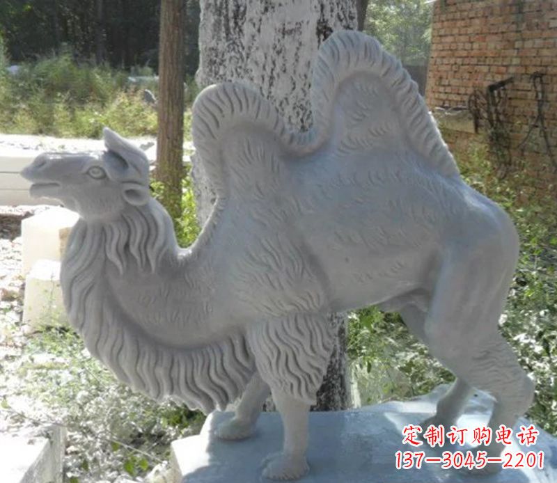 绵阳汉白玉动物骆驼石雕