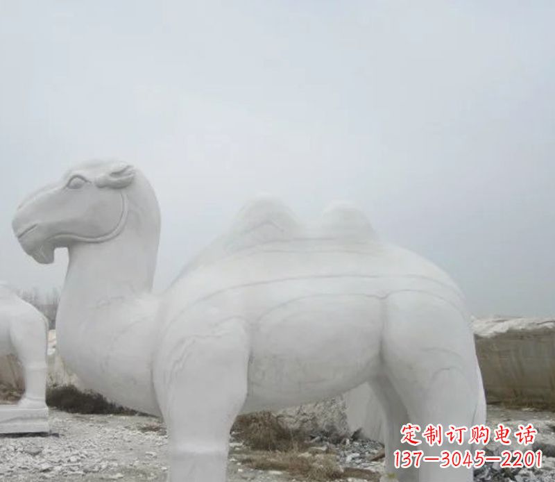 绵阳汉白玉骆驼石雕塑,装点家居空间