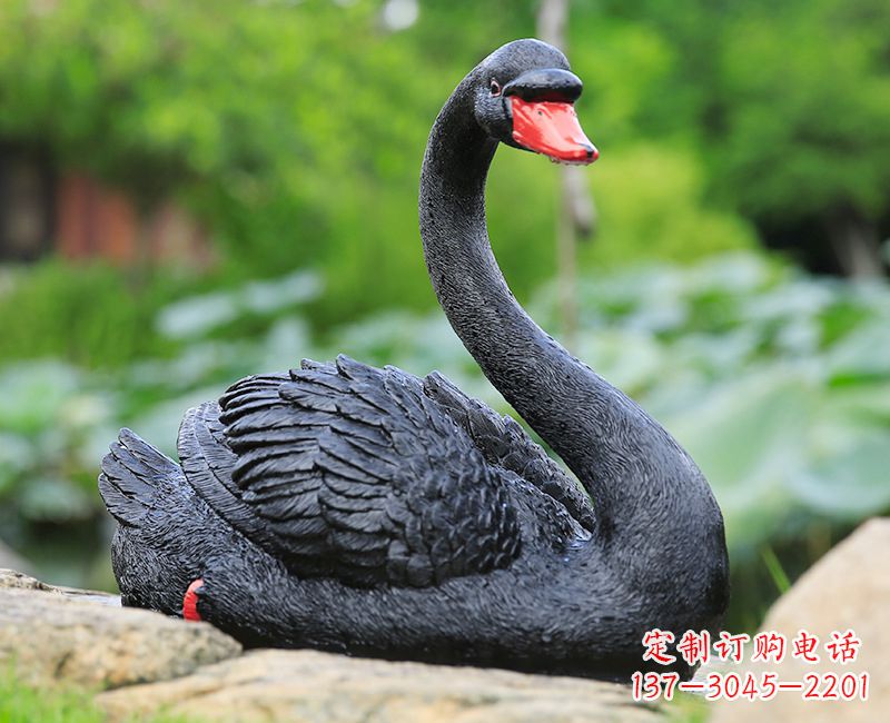 绵阳黑色天鹅卧姿雕塑-园林水景动物摆件