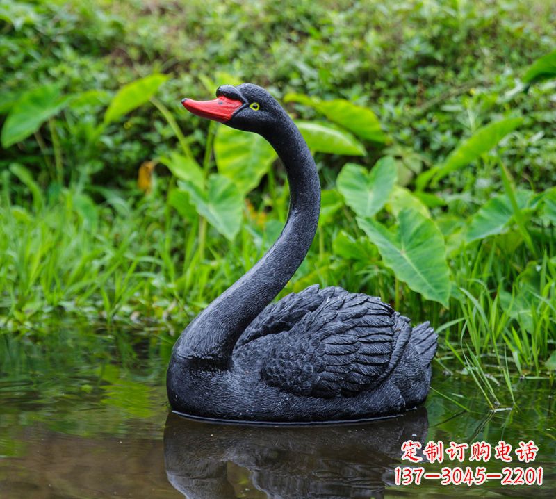 绵阳黑天鹅仰脖款-园林水塘水景装饰动物摆件