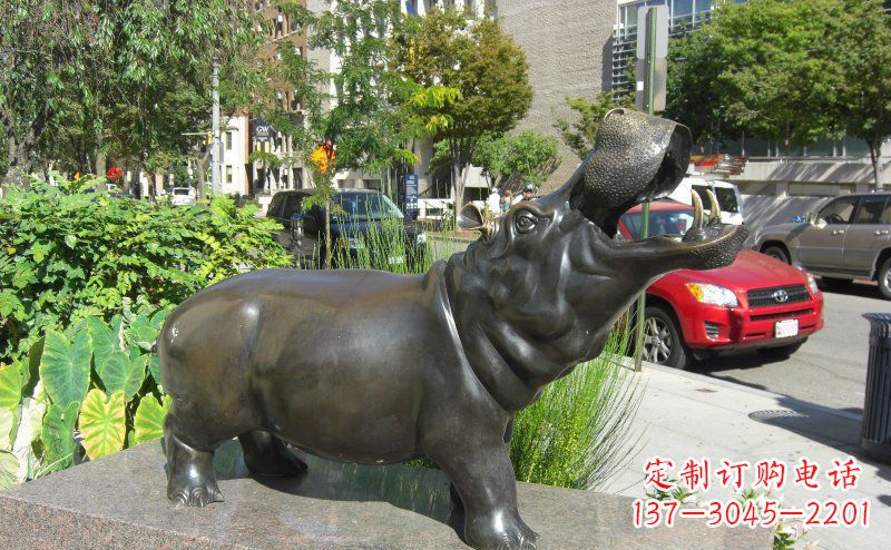 绵阳精美细腻的街边河马铜雕