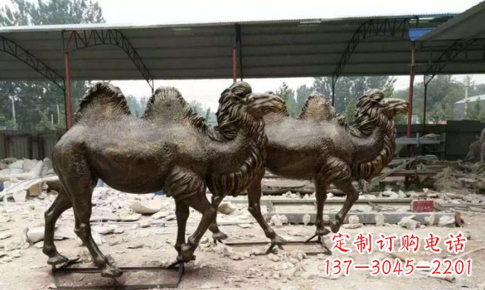 绵阳典雅优美的骆驼铜雕