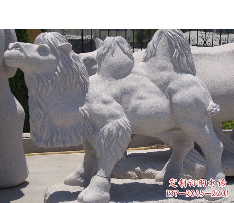 绵阳艺术珍品—骆驼石雕