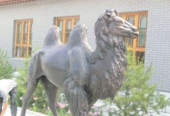 绵阳精美的骆驼铜雕，提升您的公园气质
