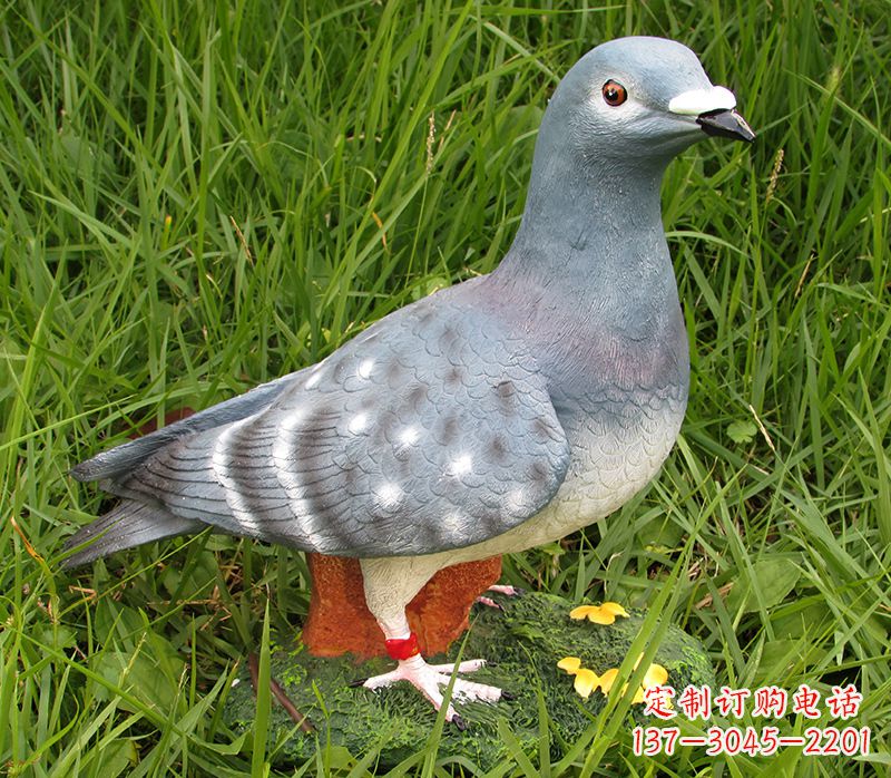 绵阳专业定制石雕鸽子,精致品质造就美好氛围