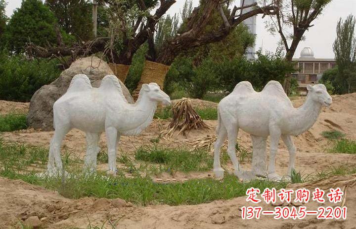 绵阳欣赏大自然,石雕骆驼公园动物雕塑邀请您