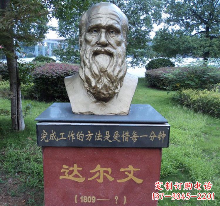 绵阳铜雕达尔文头像雕塑