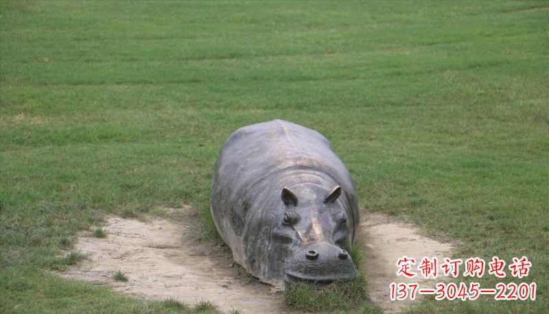 绵阳铜雕趴着的河马