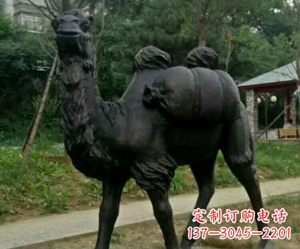 绵阳驮行李的骆驼铜雕