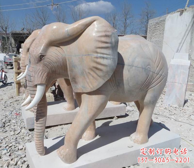 绵阳晚霞红卷鼻大象