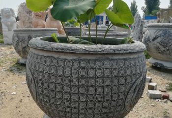 绵阳荷花鱼石雕塑，精美雕塑展现浪漫情怀