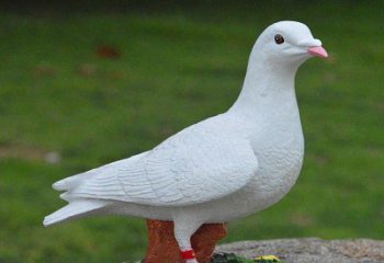 绵阳美丽的和平鸽雕塑，传递暖暖的正能量