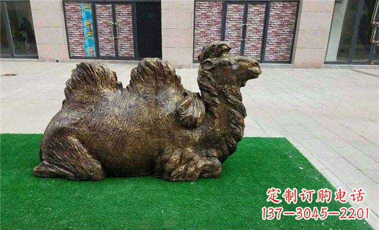 绵阳卧着的骆驼动物铜雕