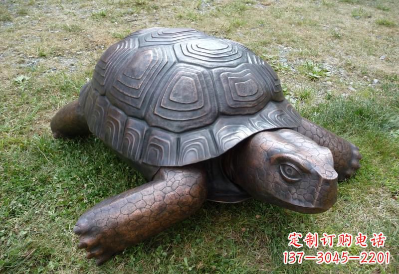 绵阳乌龟铜雕222