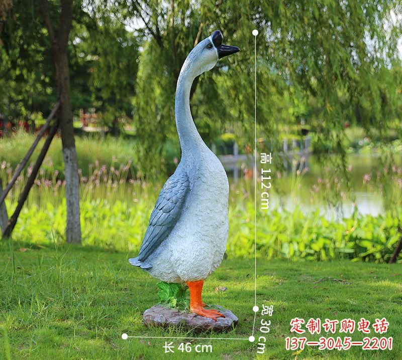 绵阳站立立脖灰色天鹅